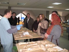 ICMP’s expert explains to the MPI representatives the process of combining DNA technology and anthropological analysis to re-associate skeletal remains exhumed from secondary mass graves associated with the fall of Srebrenica