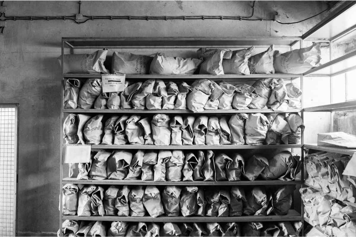 Archaeology22
